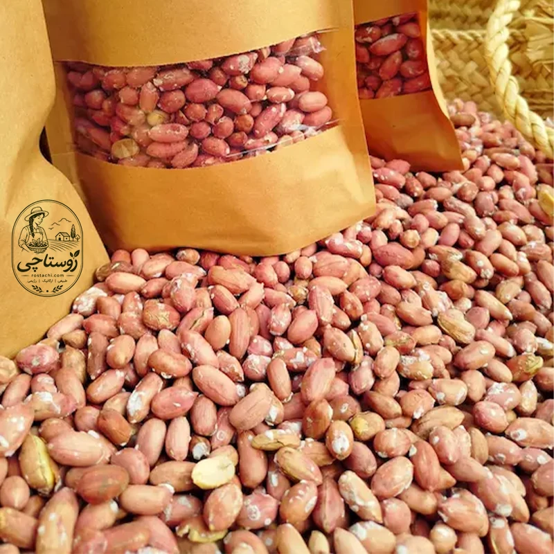 بادام زمینی آستانه اشرفیه دانه درشت 1 کیلو گرمی بادام زمینی آستانه اشرفیه دانه محلی درشت 1 کیلو گرمی - تصویر 1
